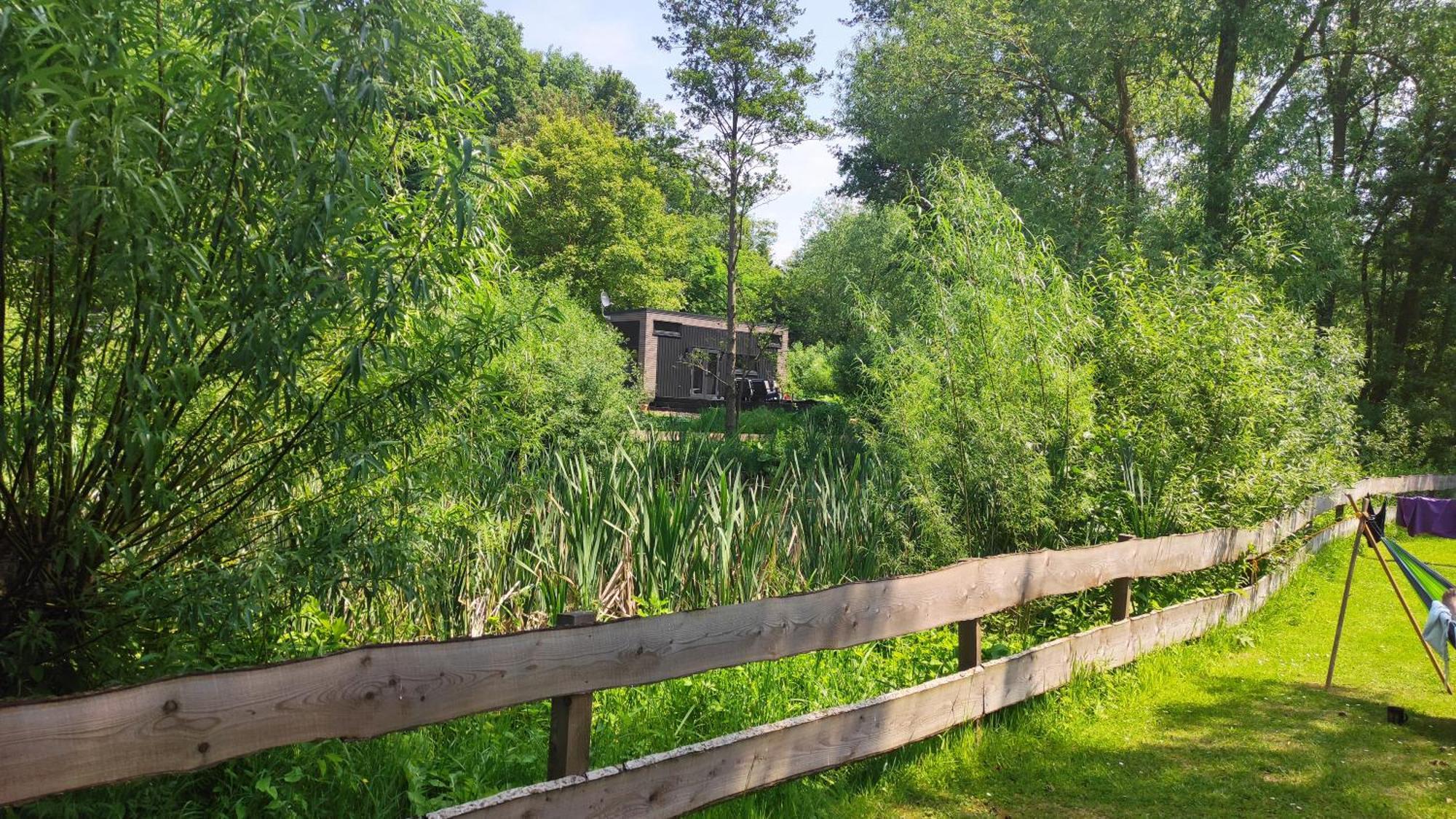 Tiny House 14 - Sollberg Villa Salzhemmendorf Dış mekan fotoğraf
